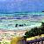 BY THE SEA, ELEUTHERA, THE BAHAMAS
Original available
Copyright by Lalita L. Cofer
Buy a signed limited edition print, includes shipping $69.00.  Please use the submit text box to request title of print you wish to purchase and pay using the "Add to Shopping Cart"  button

