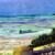 BY THE SEA, ELEUTHERA, THE BAHAMAS
Original available
Copyright by Lalita L. Cofer
Buy a signed limited edition print, includes shipping $69.00.  Please use the submit text box to request title of print you wish to purchase and pay using the "Add to Shopping Cart"  button
